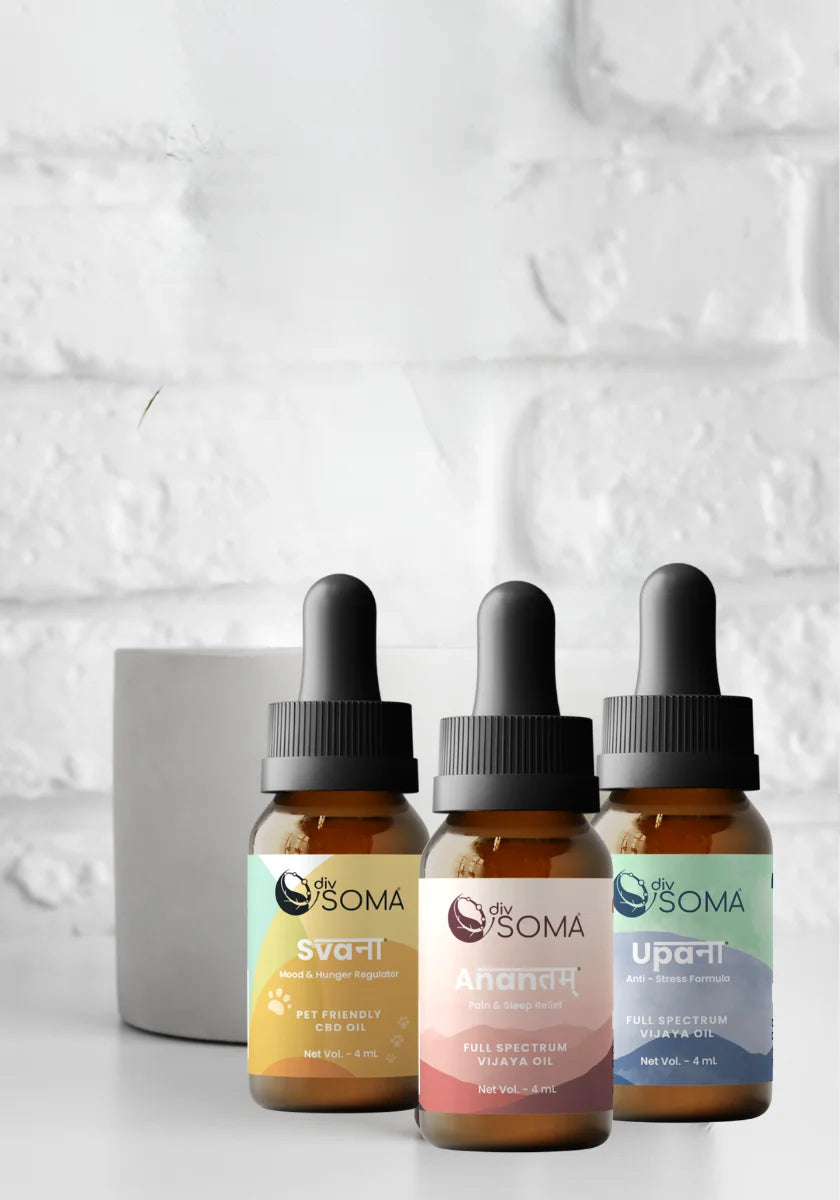 Discover Our Range of Therapeutic CBD Products