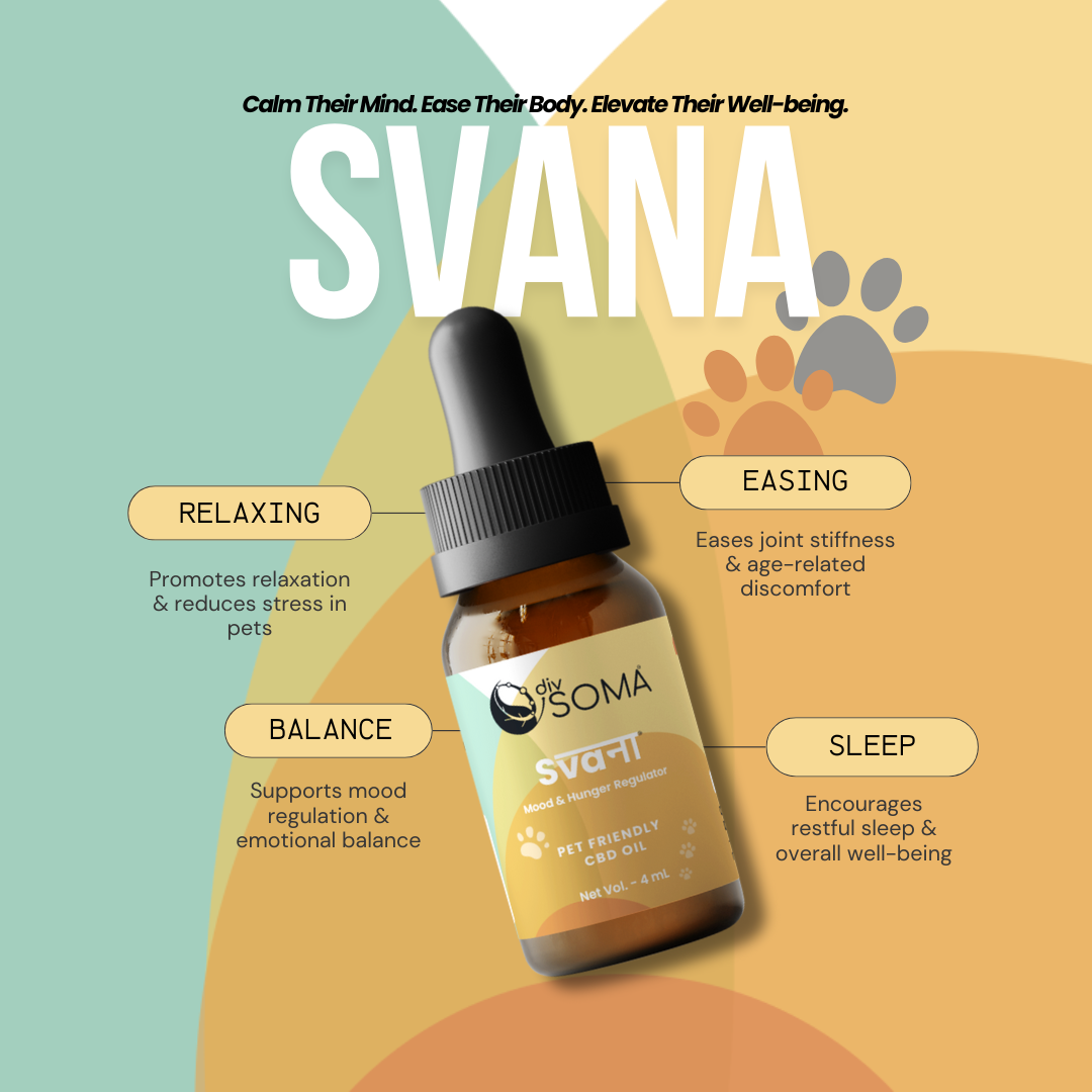 Care for Your Pet