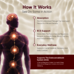 Anantam (Pain & Sleep Support) - Image 14